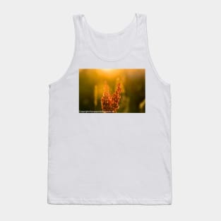 Pink Meadow flowers at sunset from meadow flower collection Tank Top